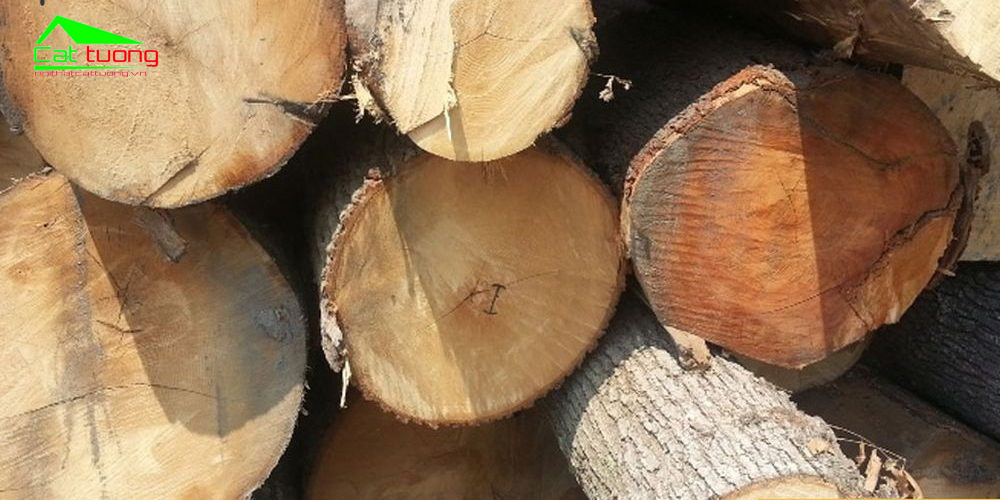 Giá gỗ sồi m3