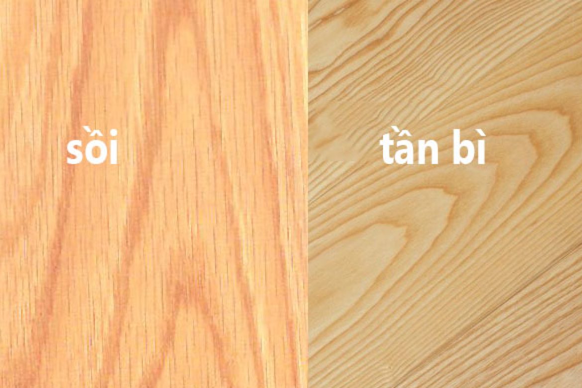 Điểm khác nhau giữa gỗ sồi và tần bì